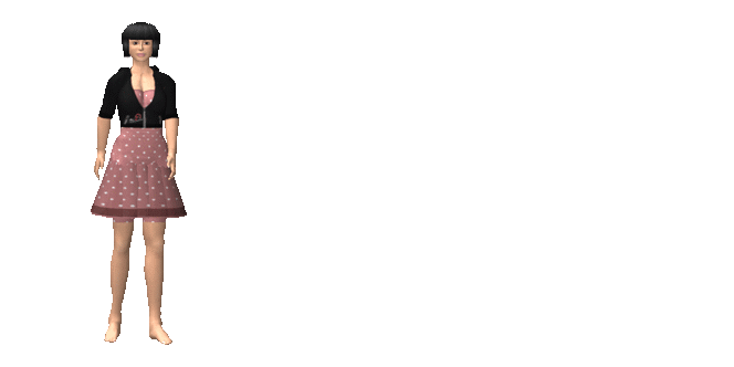 Zebra läuft nach rechts